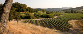 WINE COUNTRY LIVING Thumbnail